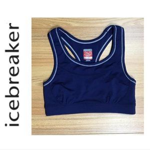 Icebreaker 260 midweight Rush sports bra XS NWOT